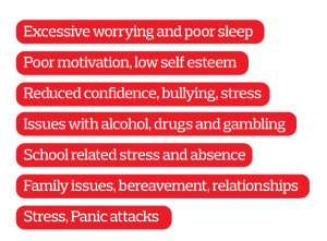 Excessive worrying and poor sleep Poor motivation, low self esteem Reduced confidence, bullying, stress Issues with alcohol, drugs and gambling School related stress and absence Family issues, bereavement, relationships Stress, Panic attacks
