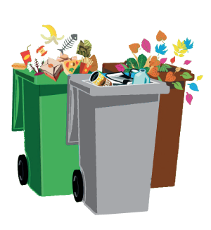 Picture of Wirral bins / waste